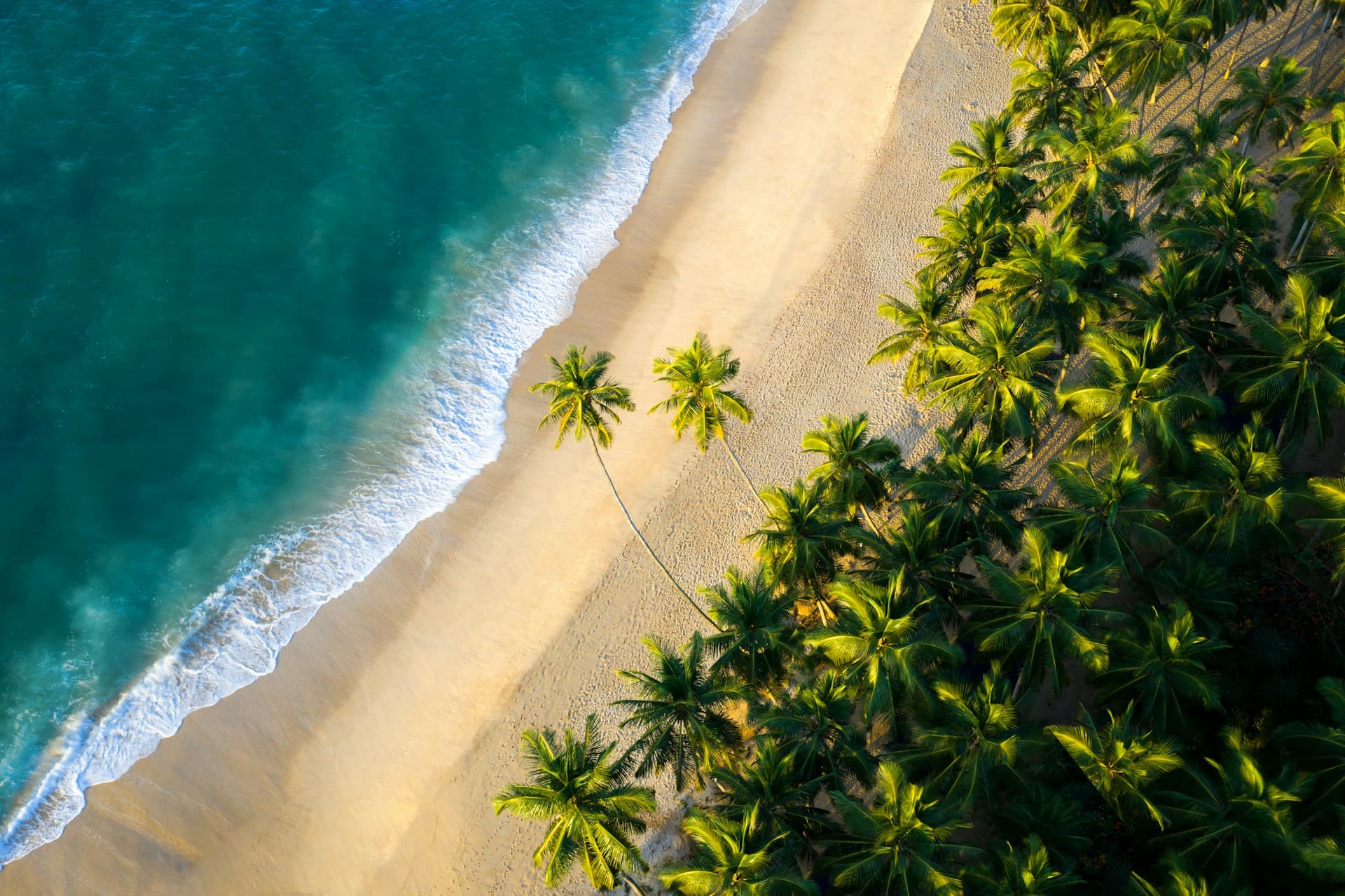 Sri Lanka tropical coastline landscape