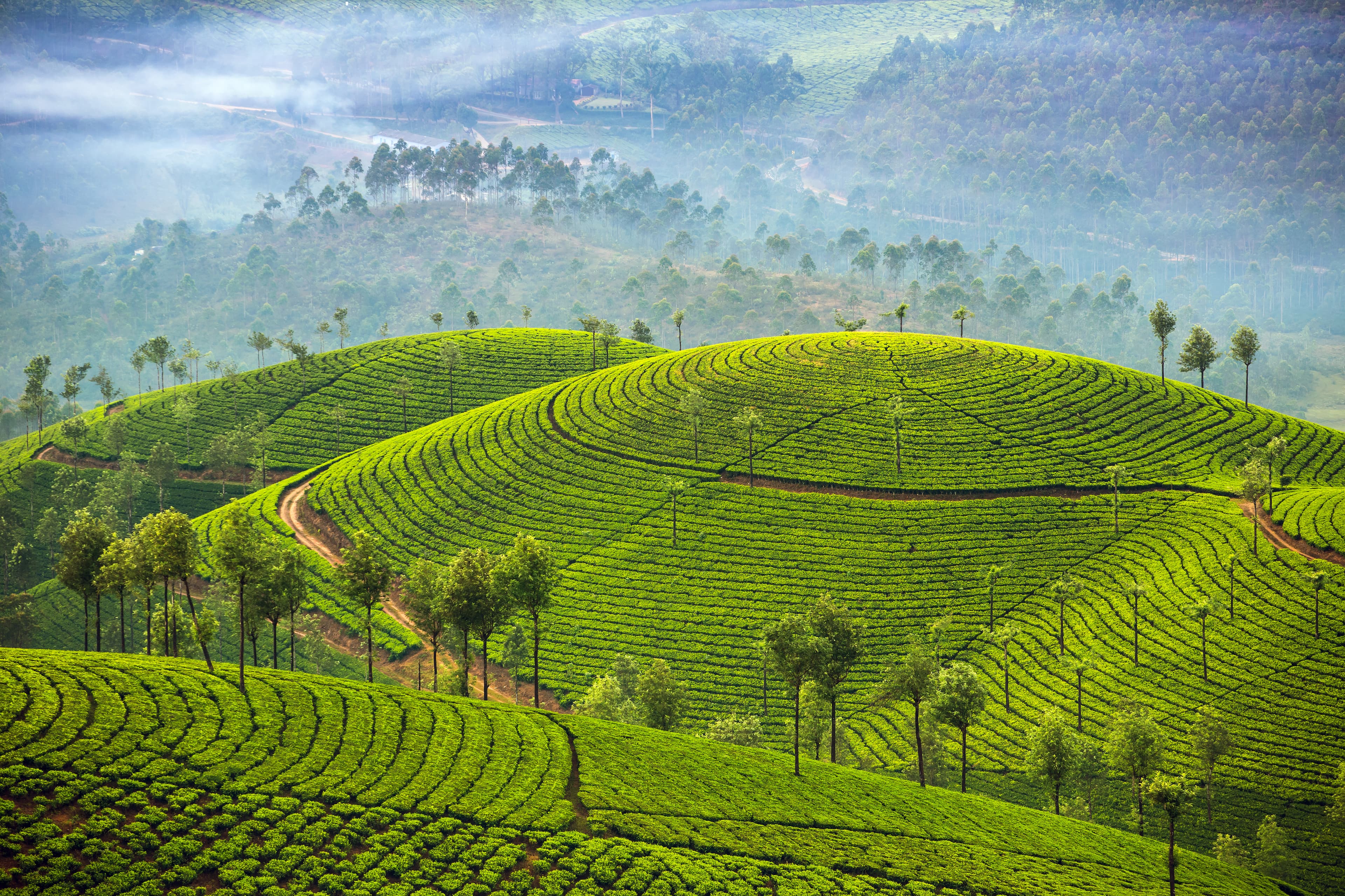 7-Day Sri Lanka Itinerary (mid) | 7-Day Relaxed Honeymoon... route preview